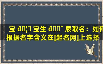 宝 🦆 宝生 🐯 辰取名：如何根据名字含义在[起名网]上选择一个符合国学理念的好名字